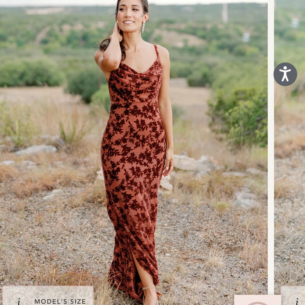 Sky Floral Velvet Dress Terracotta- Revelry